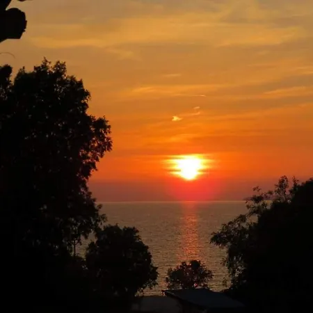 Amvrosia מסטיכרי